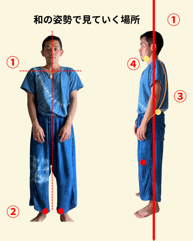 和の姿勢で見ていく場所