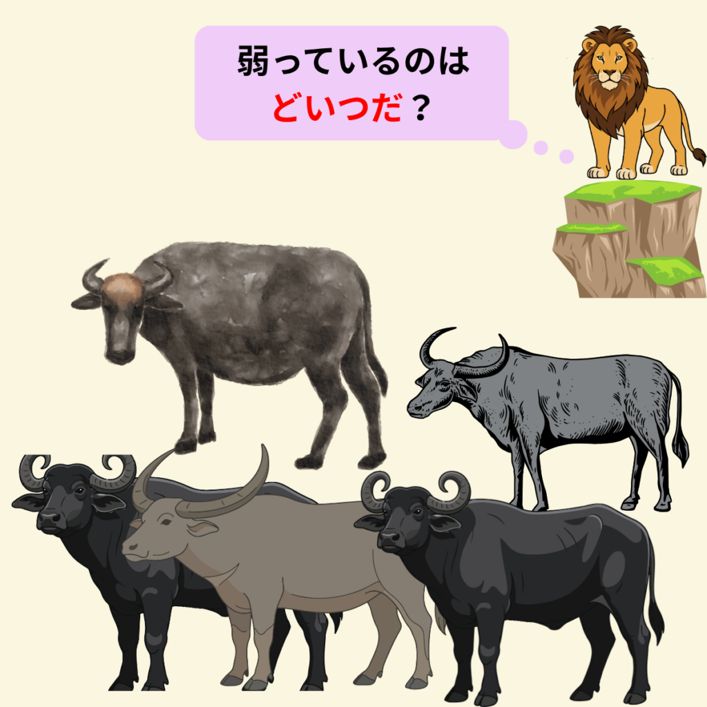 ライオンも楽な道を選ぶ