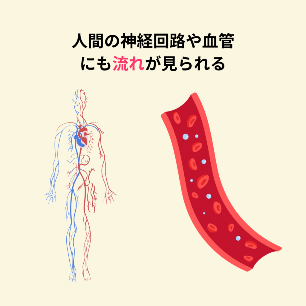 人間も流れでできている