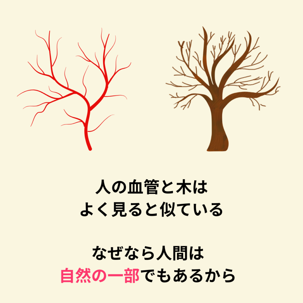 人間と自然は似ている