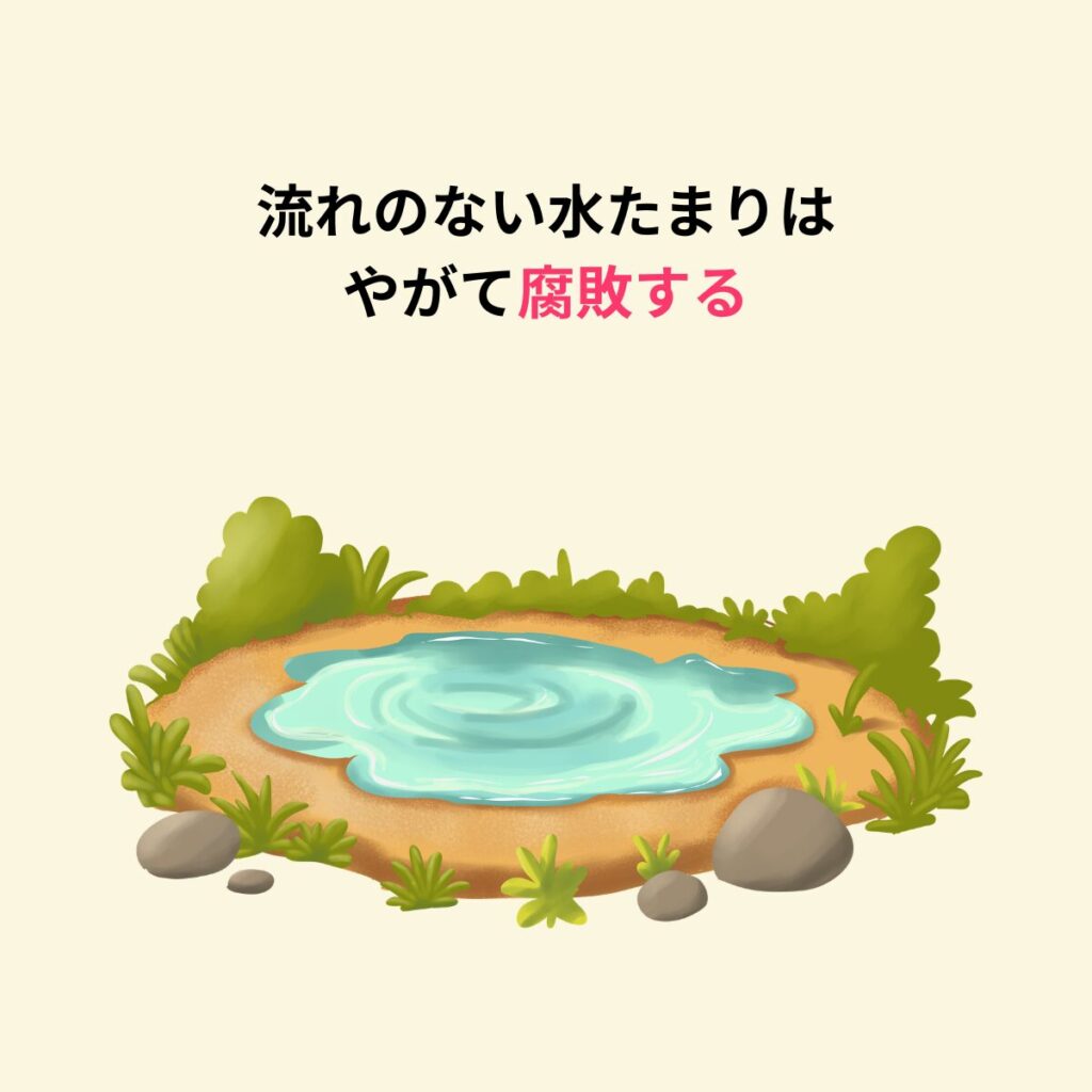 流れのない水たまりはやがて腐敗する